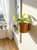 Wall Mounted Planter - PLA - Twist-off Bottom - Multiple Colors