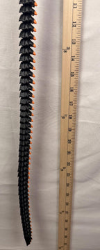 3D Printed LONG Dragon/Snake - PLA - Black and Orange - 5 Feet 4 Inches