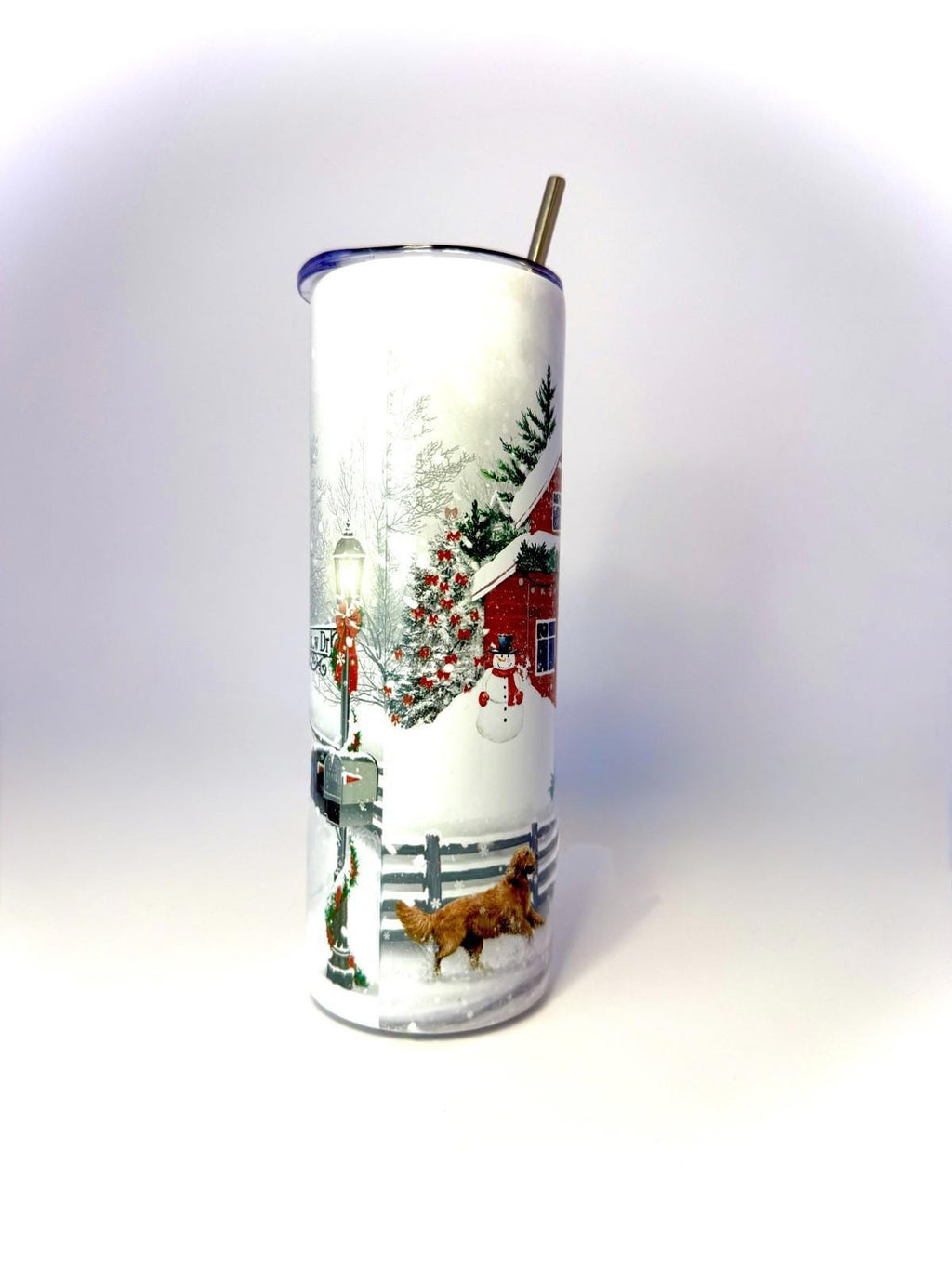 20 oz Wonderful Time of Year Stainless Steel Tumbler with Lid, Straw