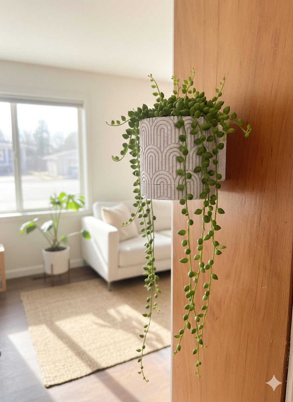 Wall Mounted Planter - PLA - Twist-off Bottom - Multiple Colors