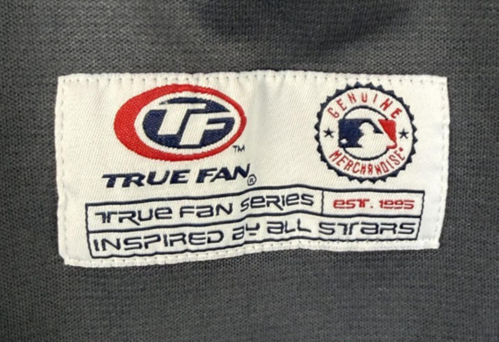 Boston Red Sox Jersey Mens Sz Large Gray MLB Baseball Shirt True Fan Series