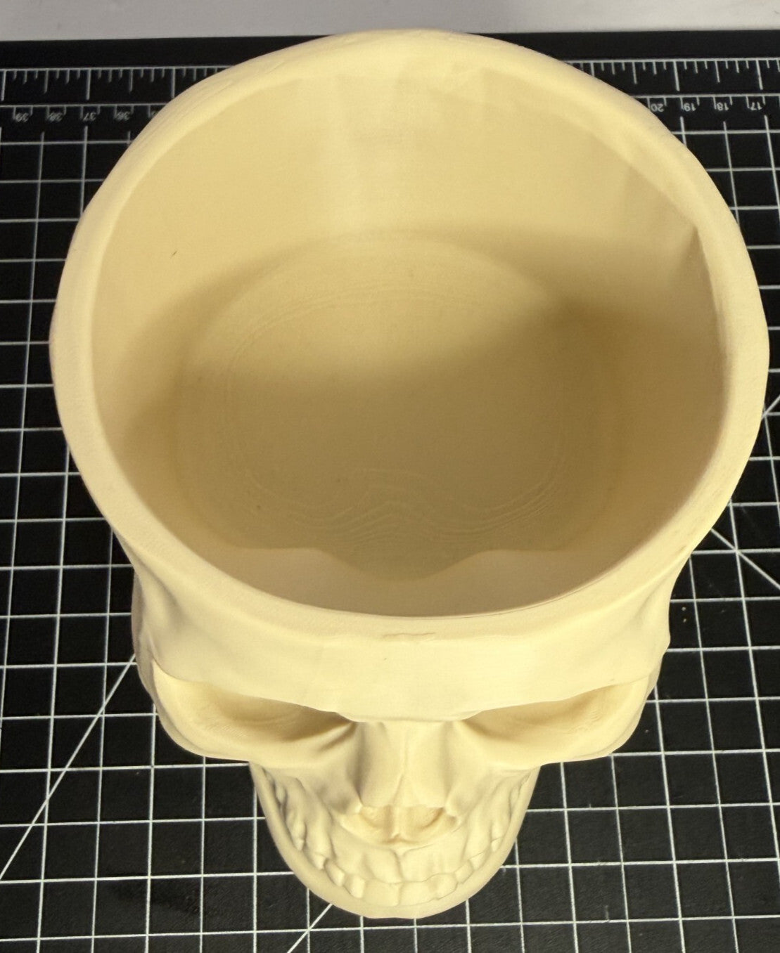 3D Printed Skull-Shaped Bowl - PLA - Bone Color