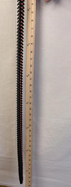 3D Printed LONG Dragon/Snake - PLA - Black and Red - 5 Feet 4 Inches