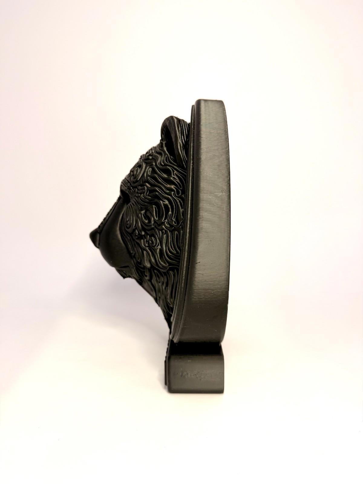 3D Printed Bear Runes Large Plaque - Black