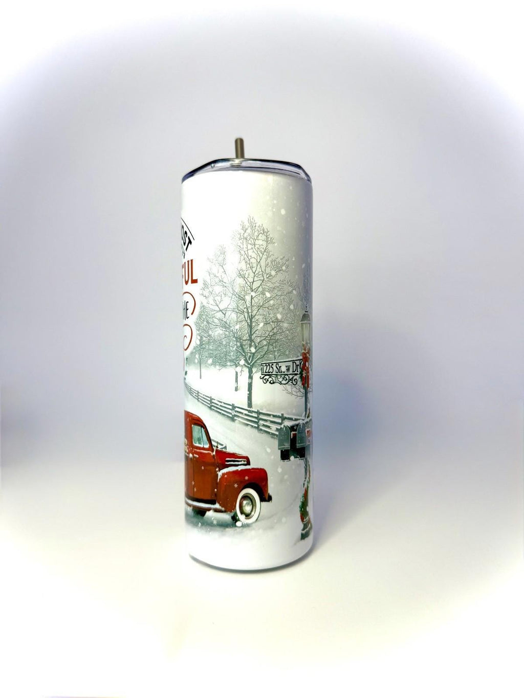 20 oz Wonderful Time of Year Stainless Steel Tumbler with Lid, Straw