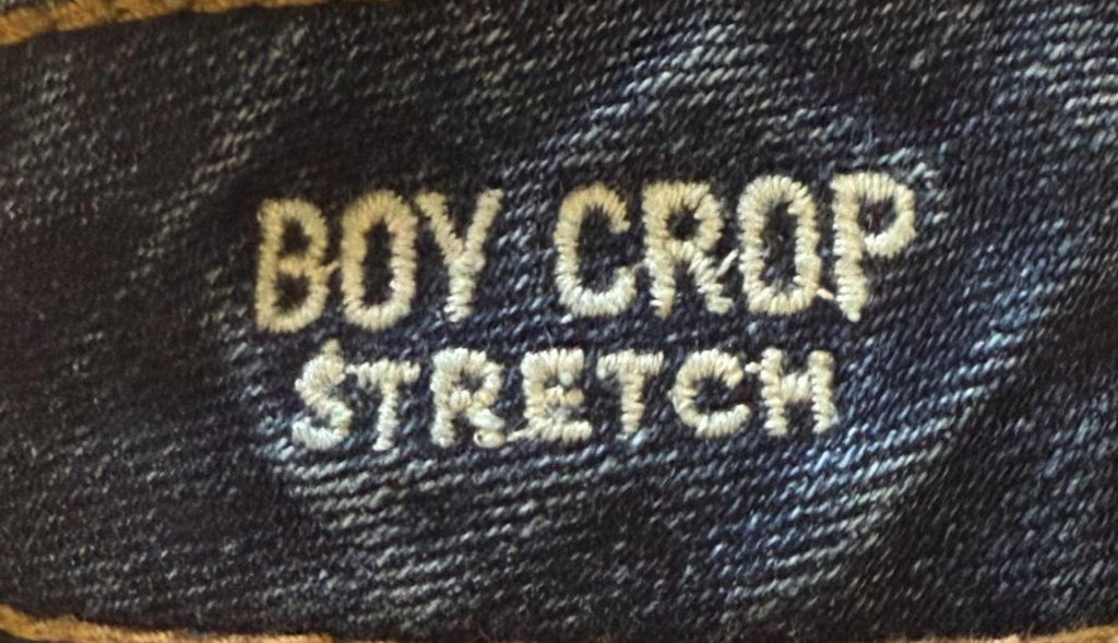 American Eagle Womens Jeans Size 2 Boy Crop Stretch Button Fly Dark Wash