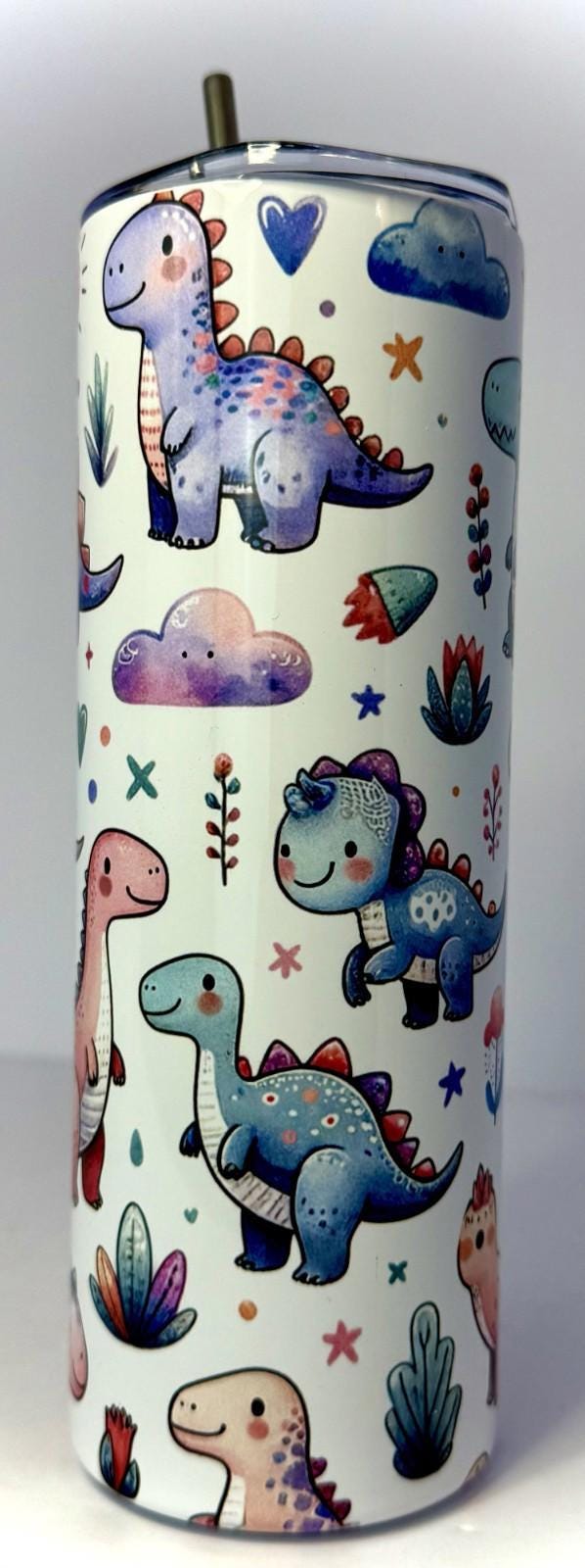 20 oz Dino Stainless Steel Tumbler with Lid, Straw