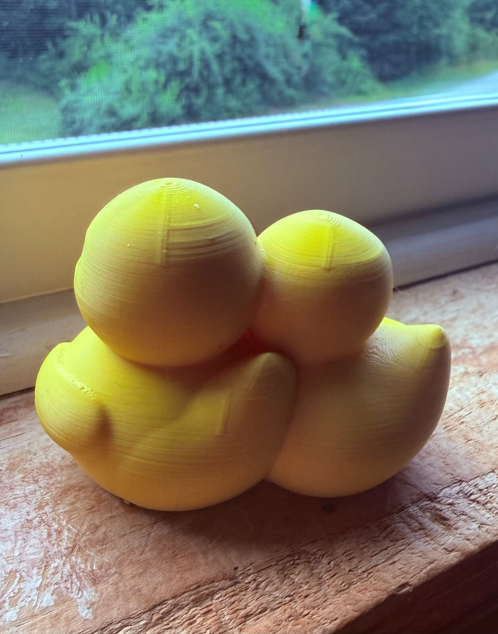 3d Printed Couples Ducks - Personalized - 2 1/5 Inch Tall
