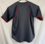 Boston Red Sox Jersey Mens Sz Large Gray MLB Baseball Shirt True Fan Series