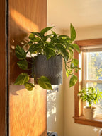 Wall Mounted Planter - PLA - Twist-off Bottom - Multiple Colors