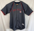 Boston Red Sox Jersey Mens Sz Large Gray MLB Baseball Shirt True Fan Series