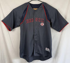 Boston Red Sox Jersey Mens Sz Large Gray MLB Baseball Shirt True Fan Series