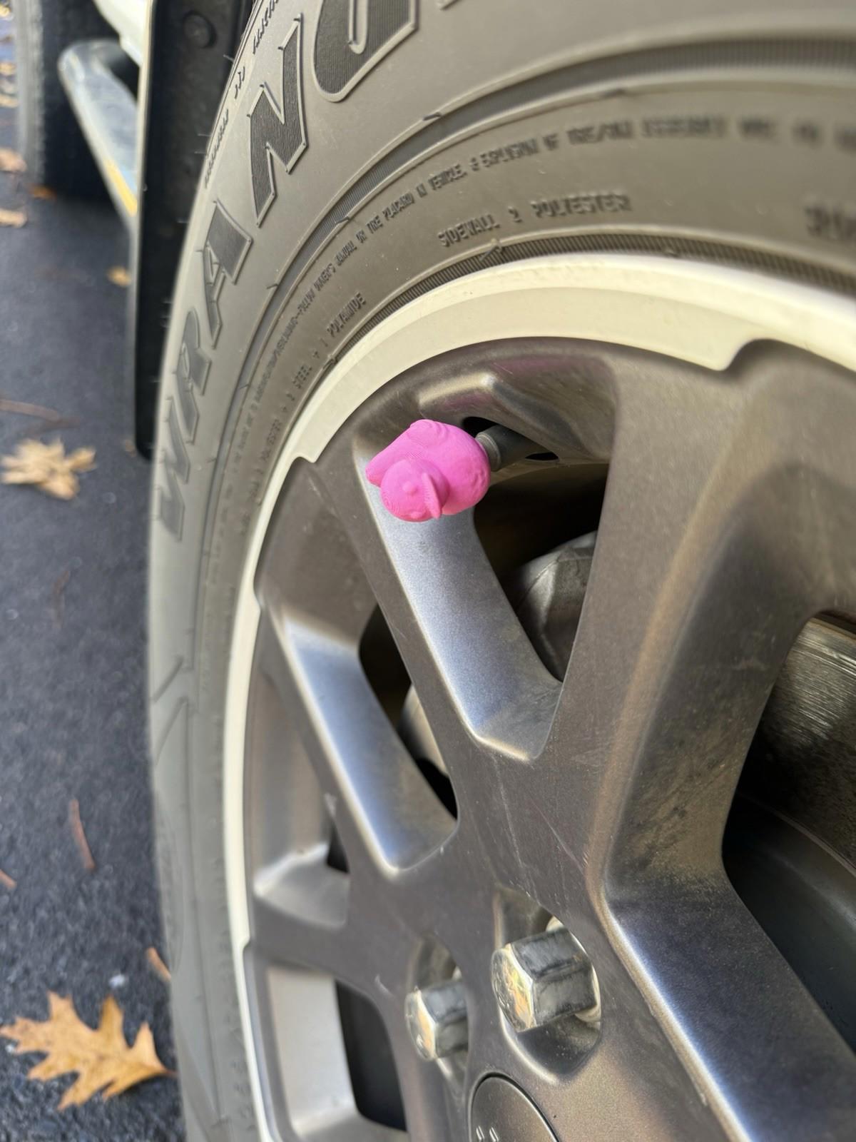Set of 4 Duck Valve Stem Covers